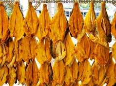 Kéo dài thời gian bảo quản cá tra khô bằng quercetin và tinh dầu ớt 